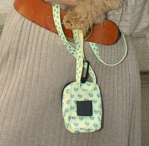 Yellow “Colton’s Eyes” Diamond Walk-mate Pouch