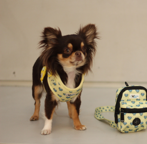 Yellow “Colton’s Eyes” Diamond Print Adjustable Harness