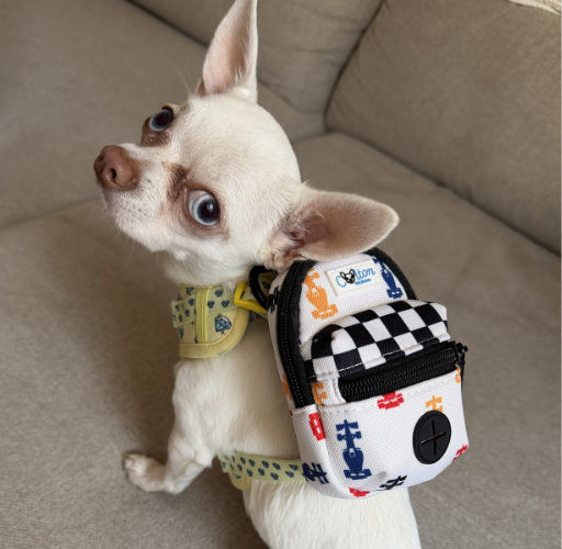 Racing Mini Backpack