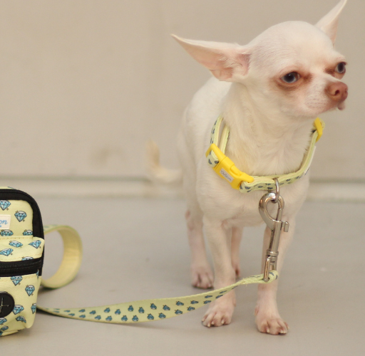 Yellow “Colton’s Eyes” Diamond Print Dog Collar