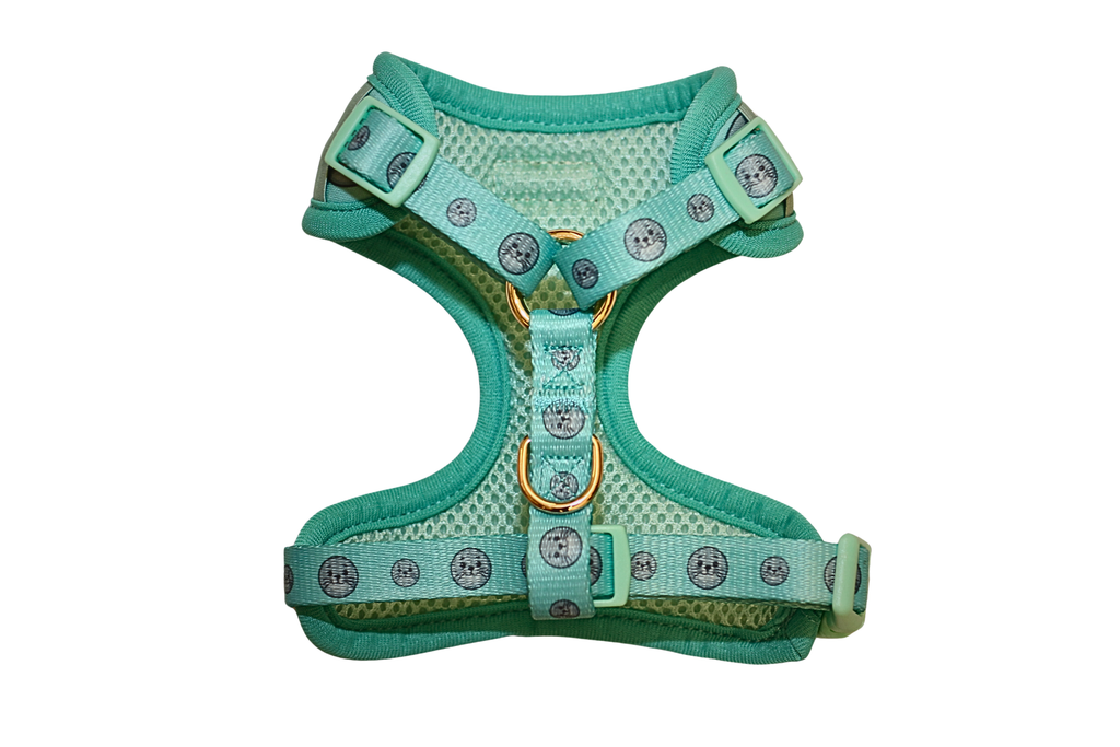 Seal Buddy Adjustable Harness - Aquamarine