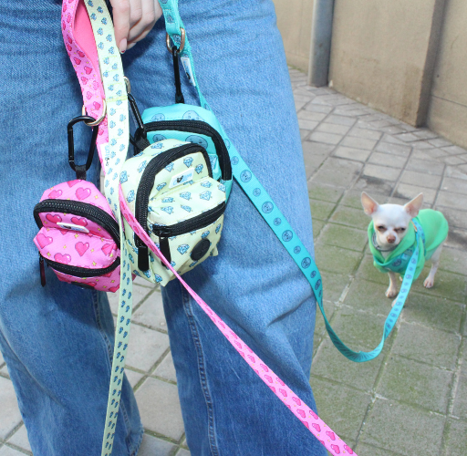 Seal Buddy Leash - Aquamarine