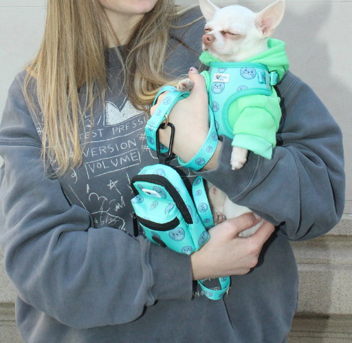 Seal Buddy Leash - Aquamarine