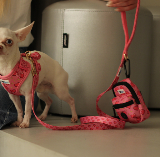 Pink “Rubacuori” Sparkle Hearts Dog Leash