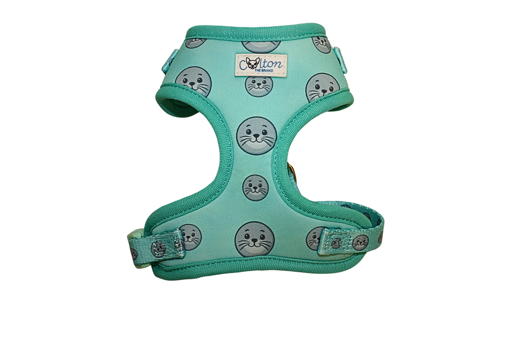 Seal Buddy Adjustable Harness - Aquamarine
