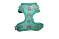 Seal Buddy Adjustable Harness - Aquamarine