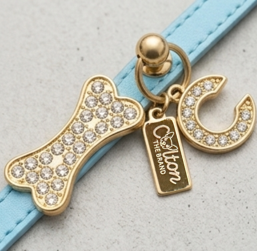 Faux Leather Custom Tag Holder Collar