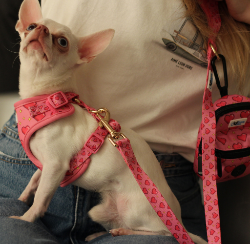 Pink “Rubacuori” Sparkle Hearts Dog Leash