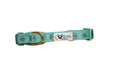 Colton’s Seal Buddy Collar - Aquamarine