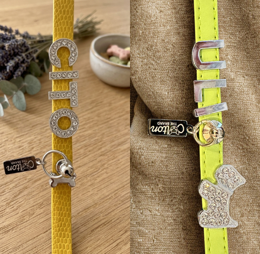 Faux Leather Custom Tag Holder Collar