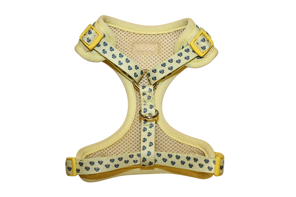 Yellow “Colton’s Eyes” Diamond Print Adjustable Harness