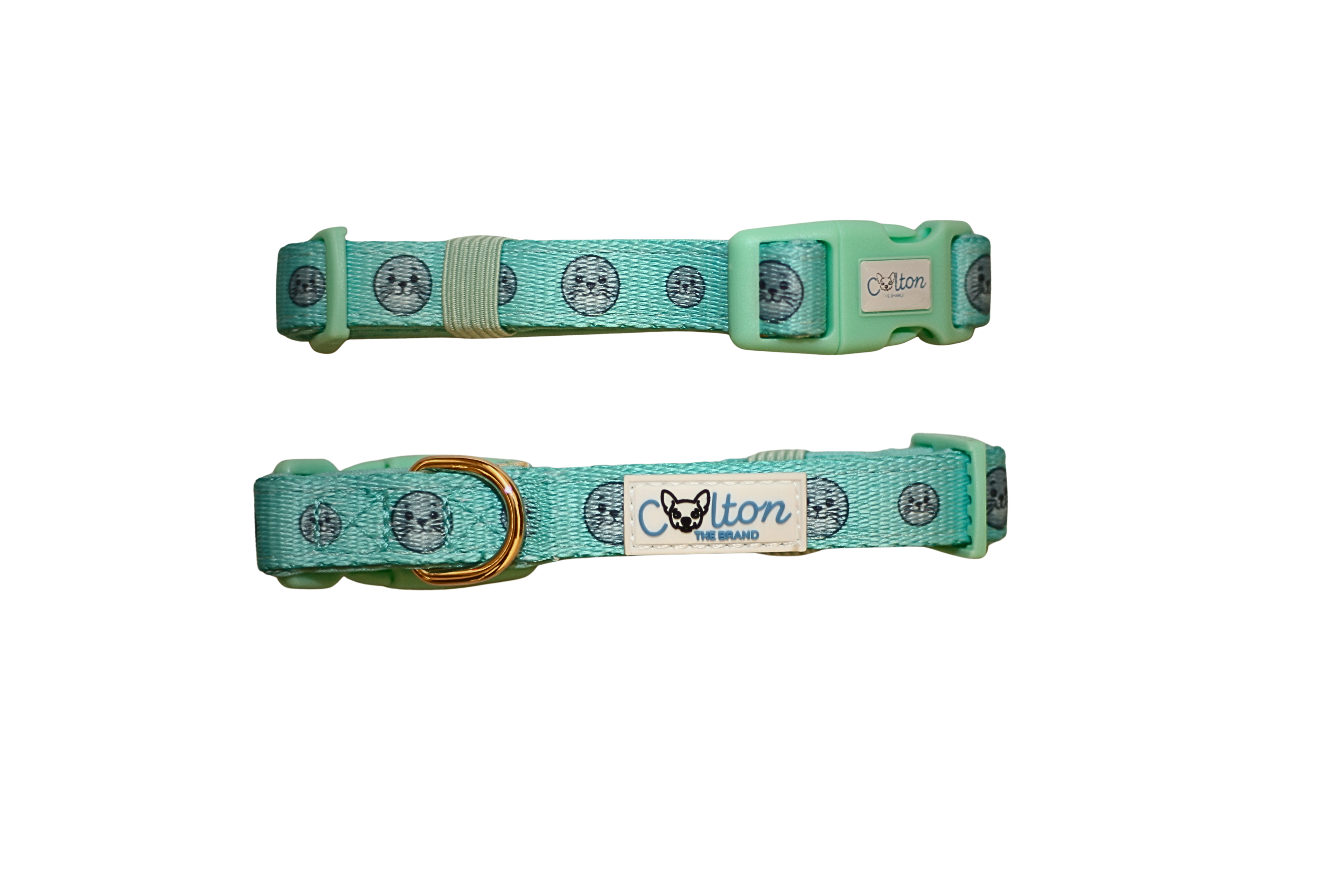 Colton’s Seal Buddy Collar - Aquamarine