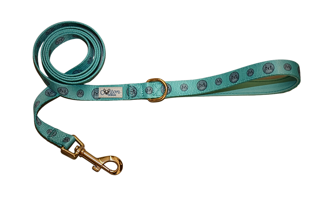 Seal Buddy Leash - Aquamarine
