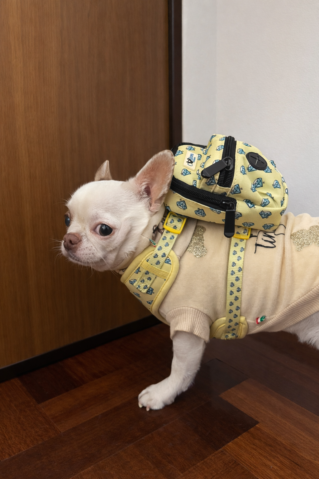 Diamond Mini Backpack