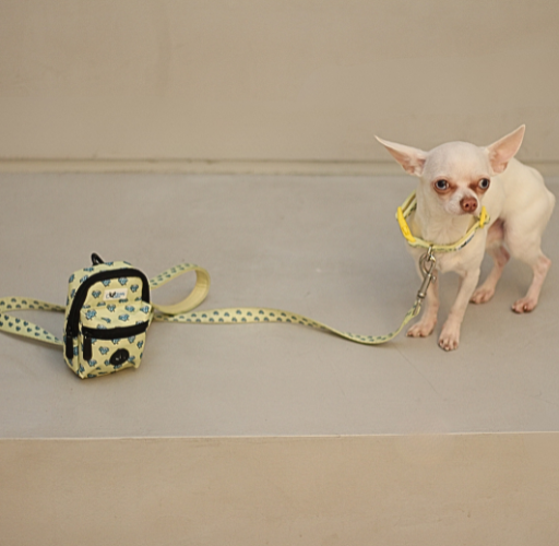 Yellow “Colton’s Eyes” Diamond Walk-mate Pouch