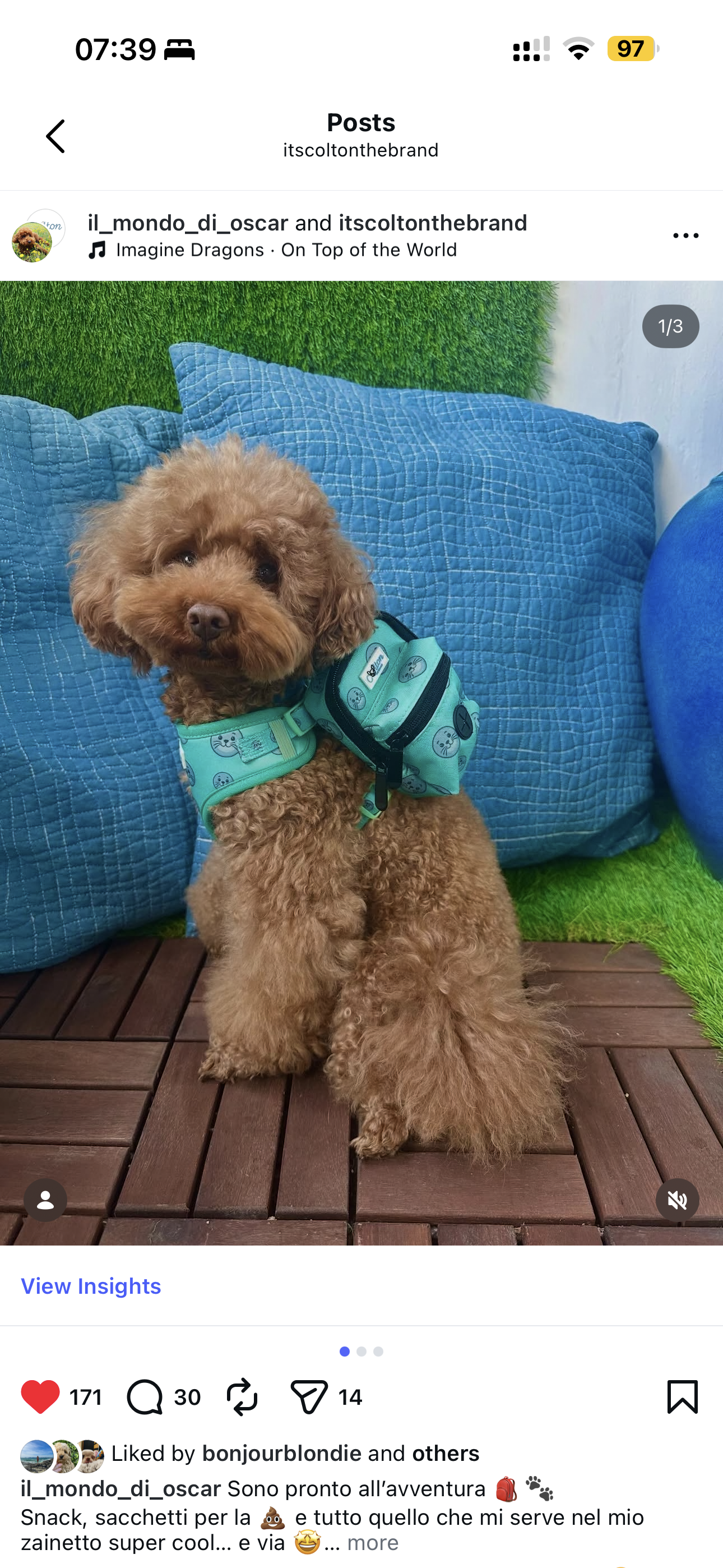 Seal Buddy Mini Backpack