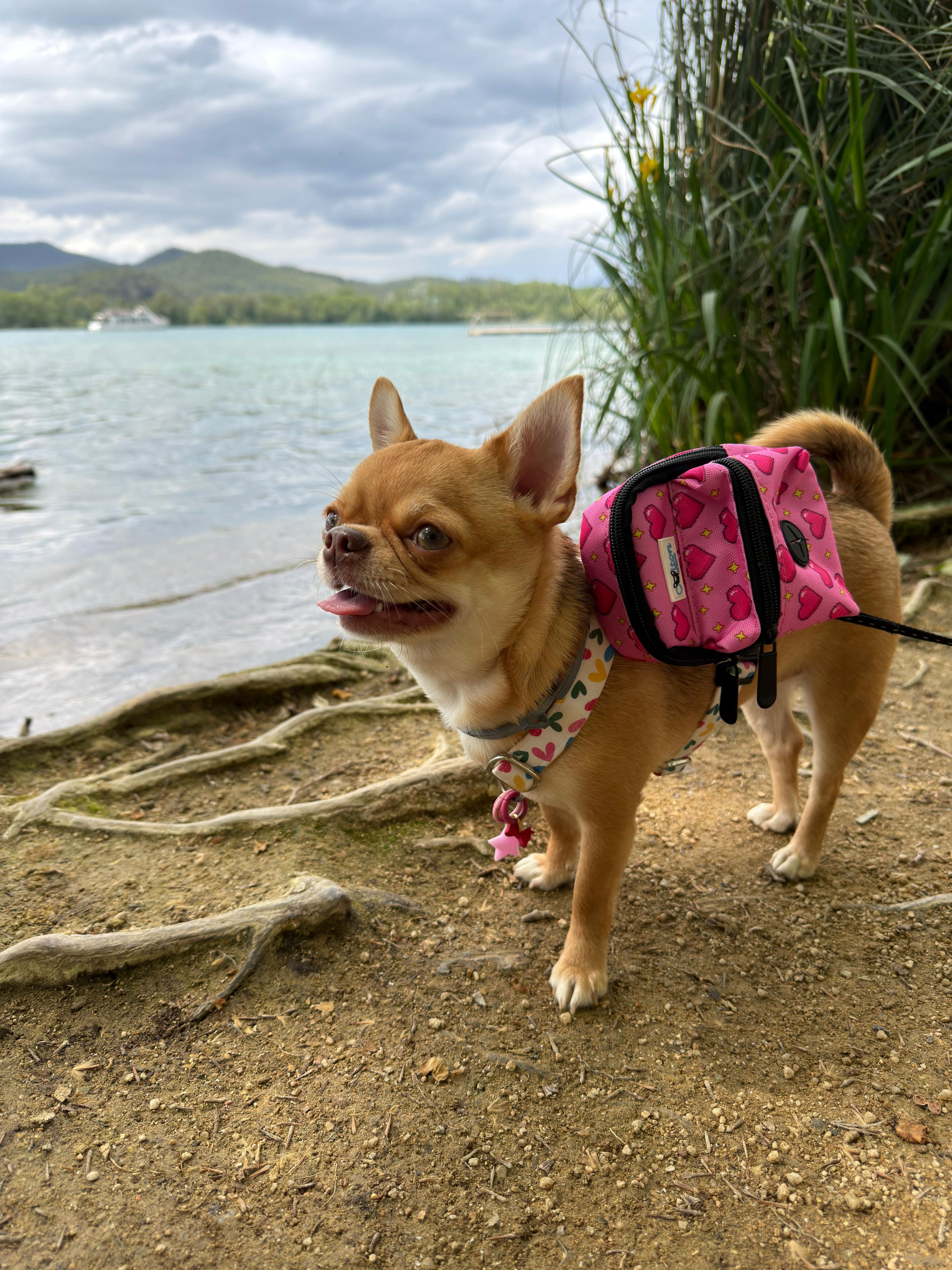 Rubacuori Mini Backpack