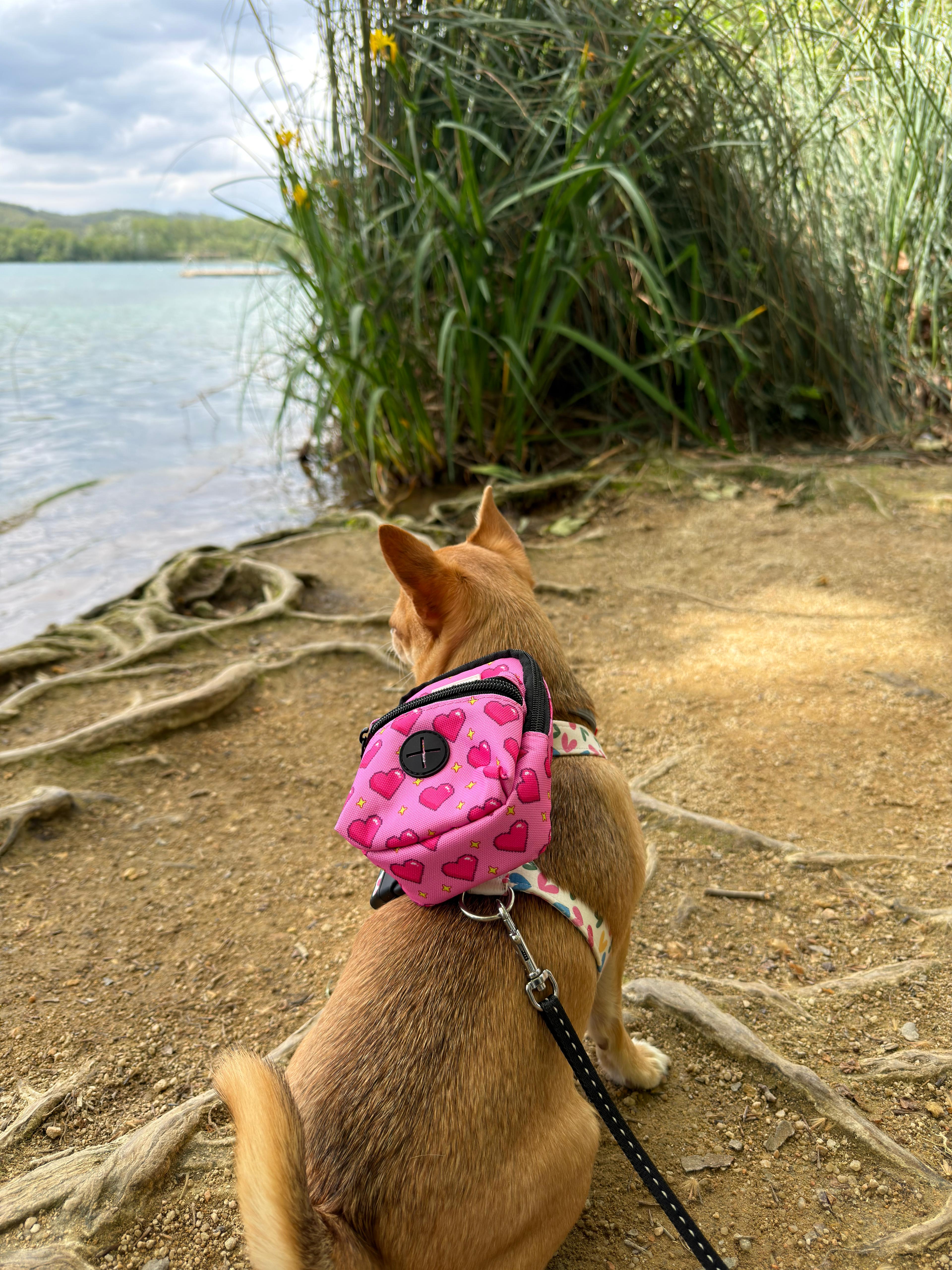 Rubacuori Mini Backpack