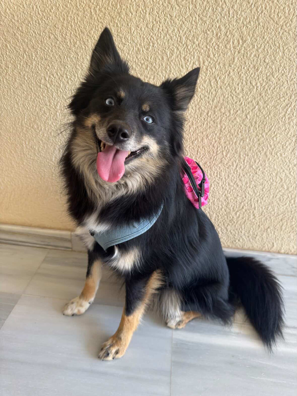 Rubacuori Mini Backpack