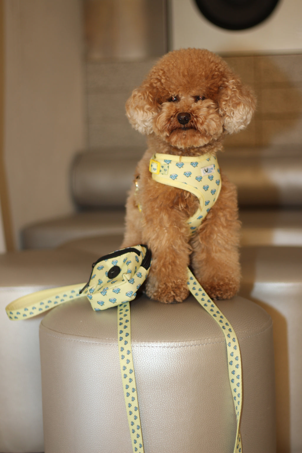 Yellow “Colton’s Eyes” Diamond Print Dog Leash