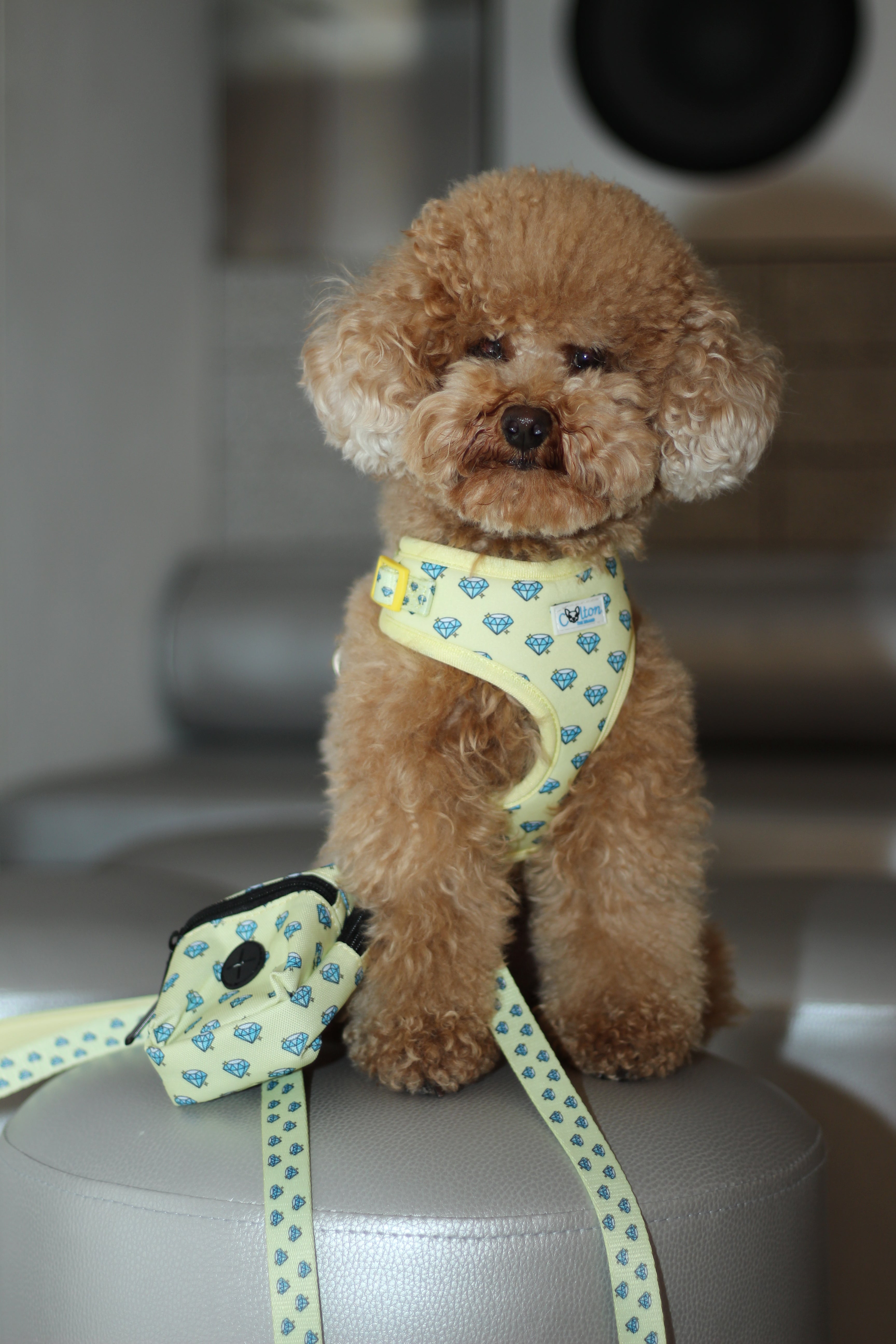 Yellow “Colton’s Eyes” Diamond Print Adjustable Harness