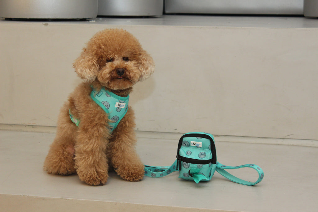 Seal Buddy Walk-mate Pouch - Aquamarine