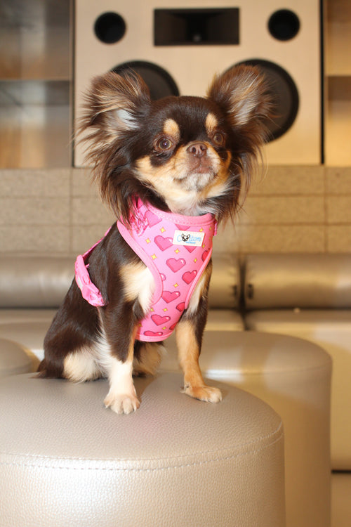 Pink “Rubacuori” Adjustable Sparkle Hearts Harness
