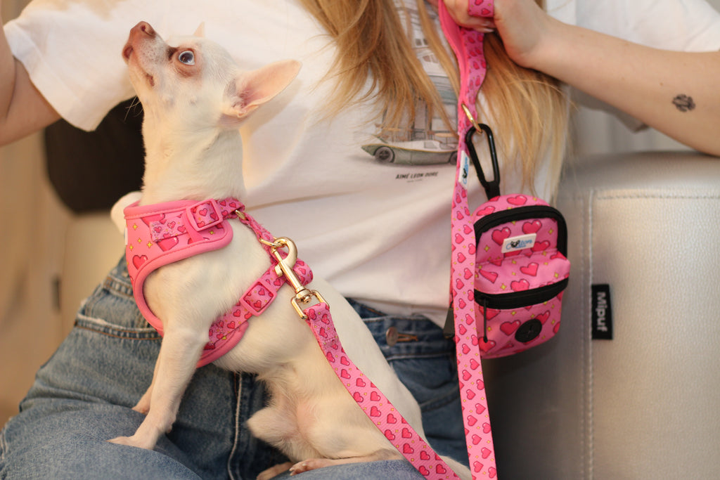 Pink “Rubacuori” Adjustable Sparkle Hearts Harness