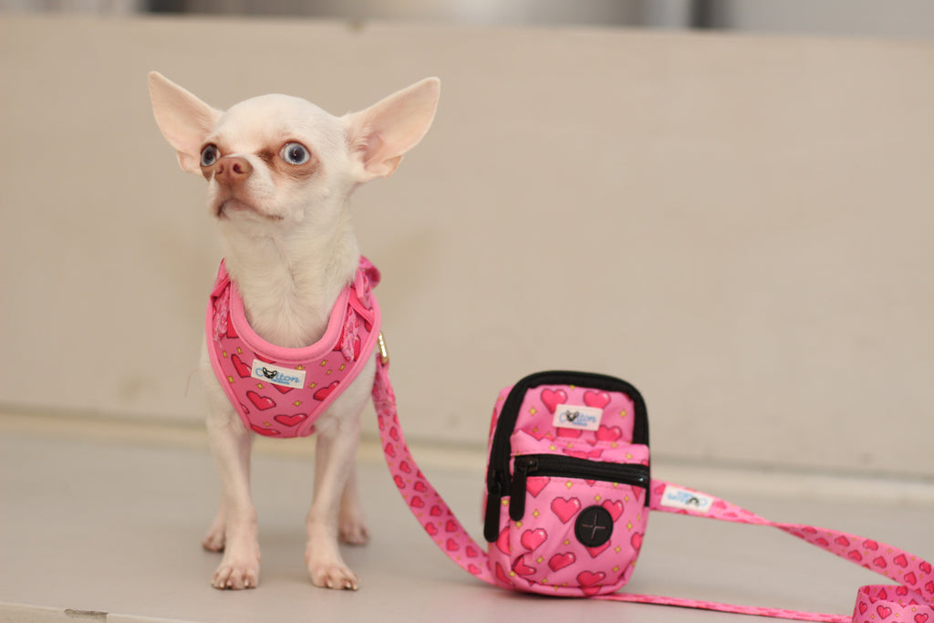 Pink “Rubacuori” Adjustable Sparkle Hearts Harness
