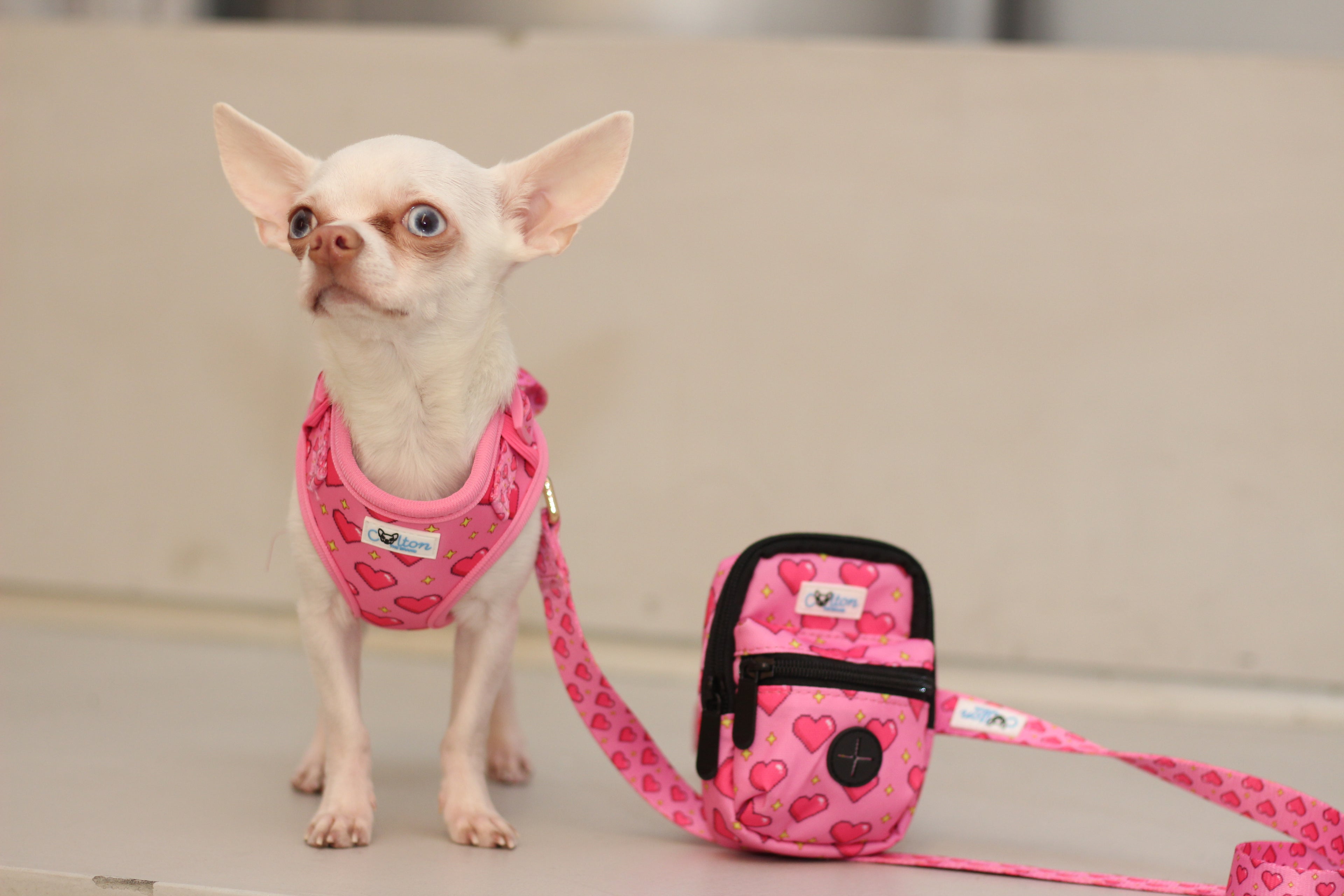 Pink “Rubacuori” Adjustable Sparkle Hearts Harness