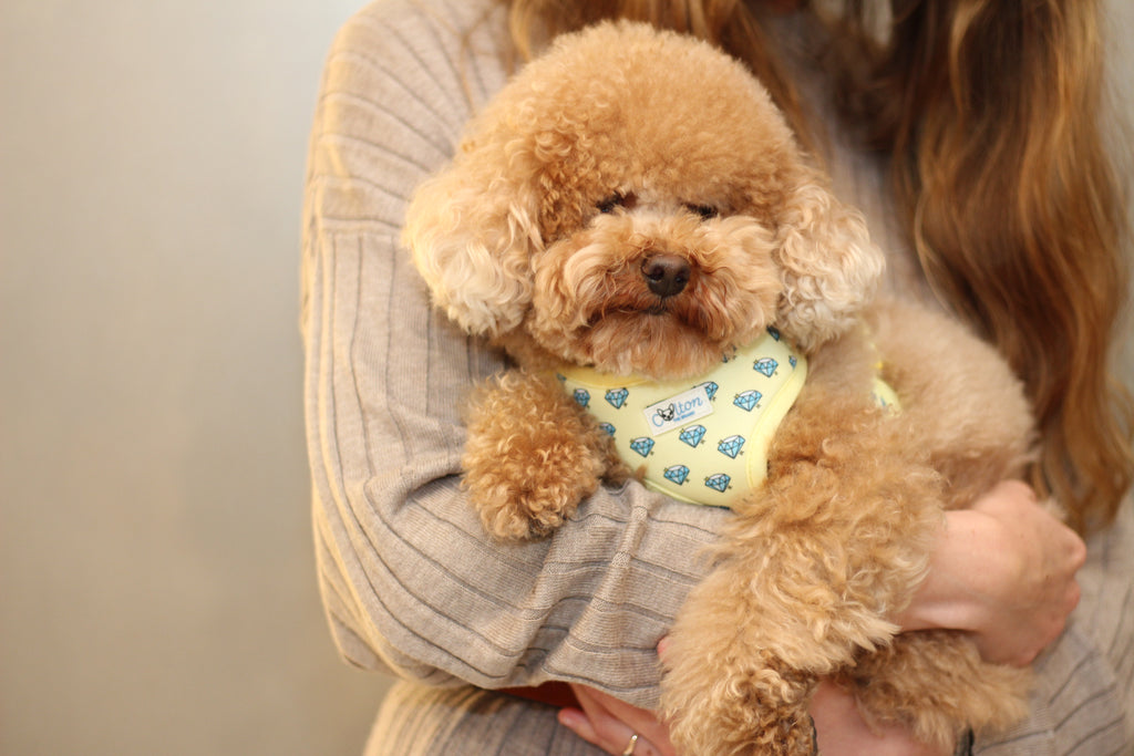 Yellow “Colton’s Eyes” Diamond Print Adjustable Harness