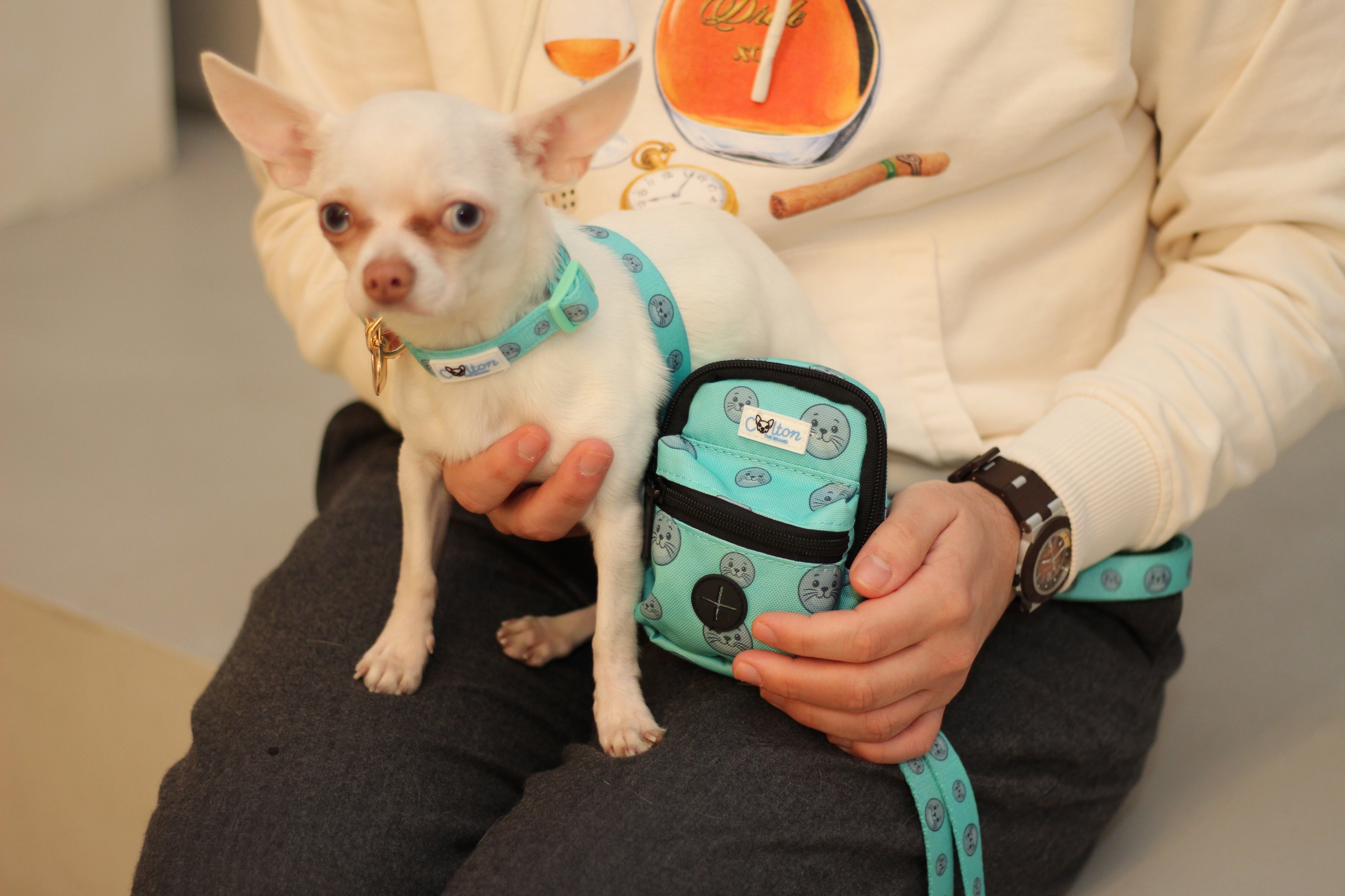 Seal Buddy Walk-mate Pouch - Aquamarine