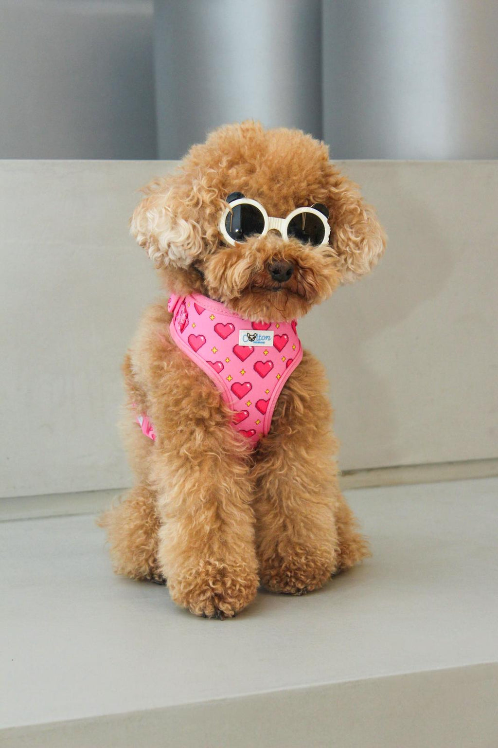 Pink “Rubacuori” Adjustable Sparkle Hearts Harness