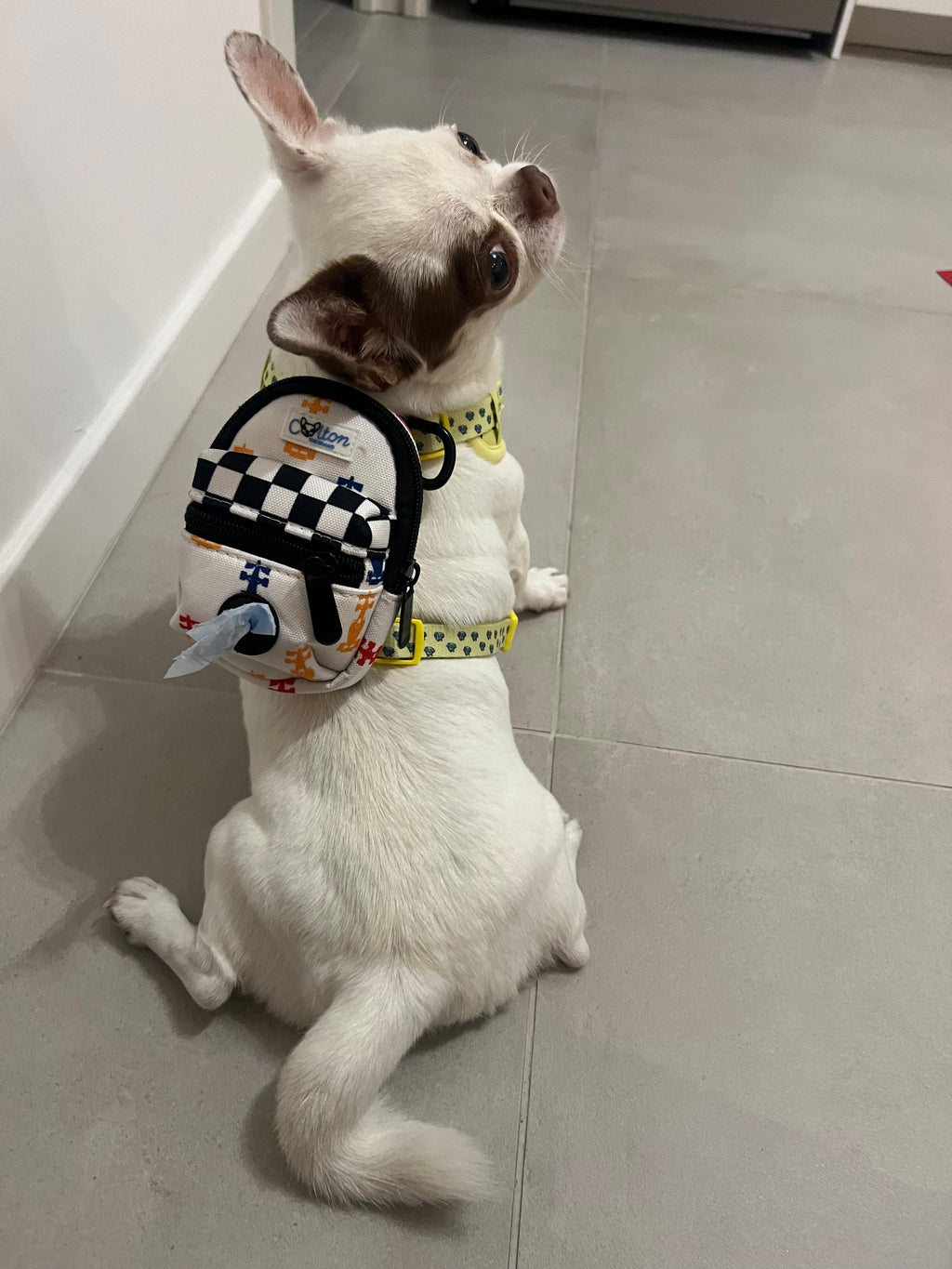 Racing Mini Backpack