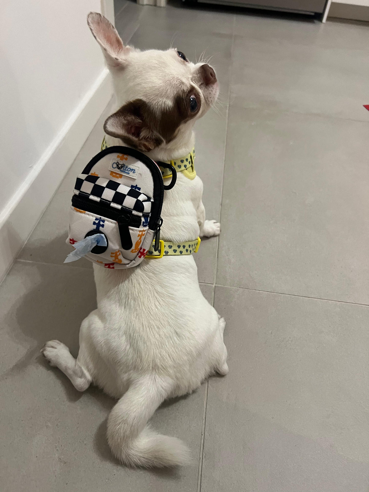Racing Mini Backpack